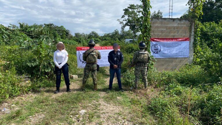 Aseguran predio en Cancún, por ecocidio