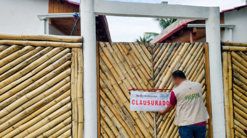 Profepa clausura construcción ilegal en Centla, Tabasco