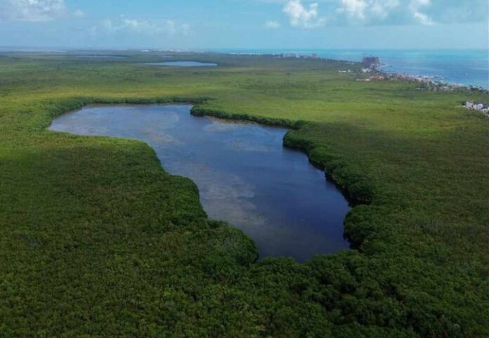 Unen esfuerzos por la recuperación de la Laguna Chacmuchuch