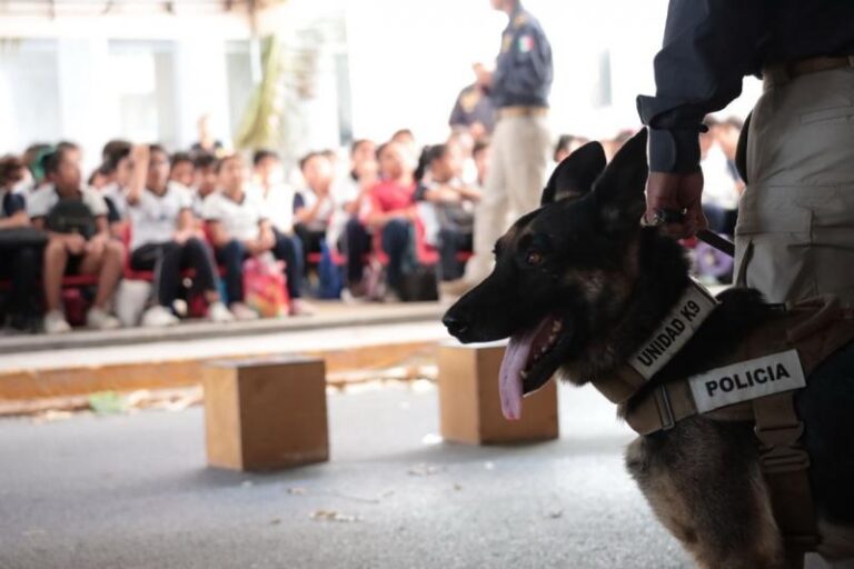 Yucatán impulsa la especialización de la Unidad K-9