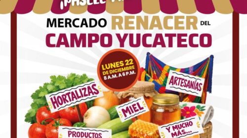 Mercado Renacer del Campo Yucateco llega al Parque La Plancha