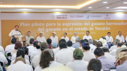 Yucatán lanza el plan piloto de supresión del gusano barrenador