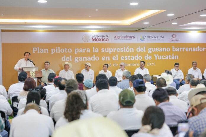 Yucatán lanza el plan piloto de supresión del gusano barrenador