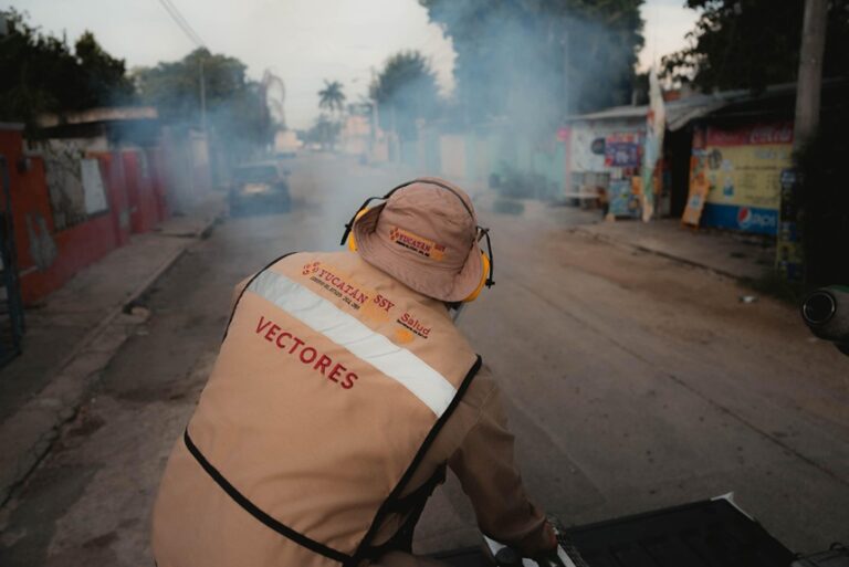 Yucatán refuerza el llamado preventivo ante casos de chikungunya