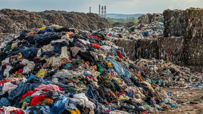 ¡Llega el fin de los basurales! Descubren una sustancia que los elimina en 5 minutos y son la última esperanza para salvar el planeta