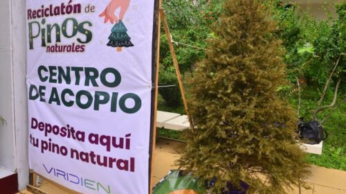 Arranca el “Reciclatón de Pinos Naturales” 2026 en Tabasco