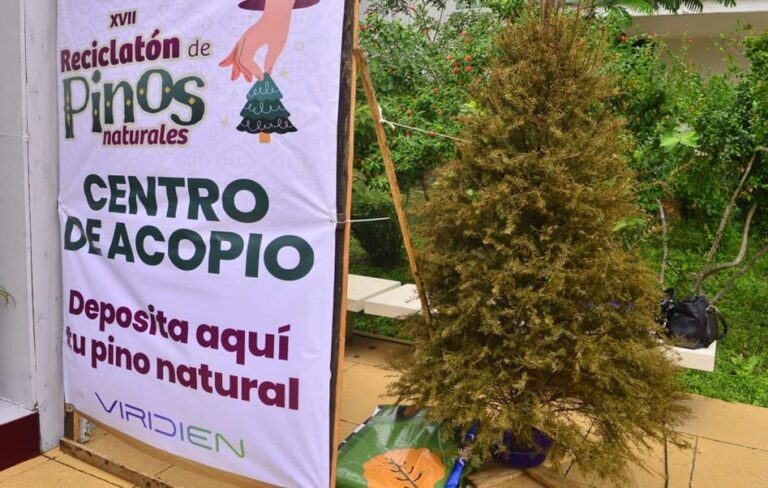 Arranca el “Reciclatón de Pinos Naturales” 2026 en Tabasco