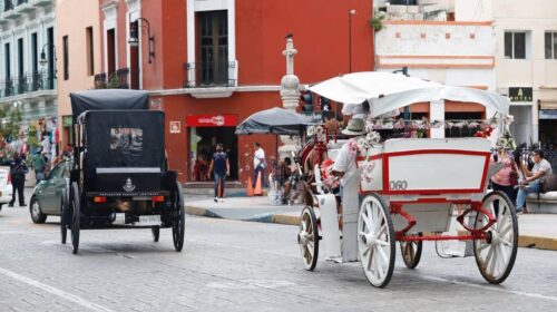 Calesas eléctricas volverán a dar servicio en Mérida