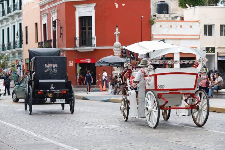 Calesas eléctricas volverán a dar servicio en Mérida