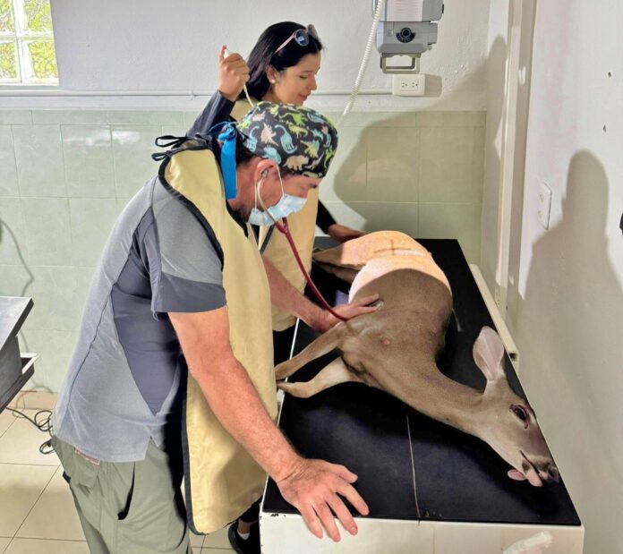 FPMC cierra el 2025 con importantes resultados en el rescate y protección de fauna silvestre