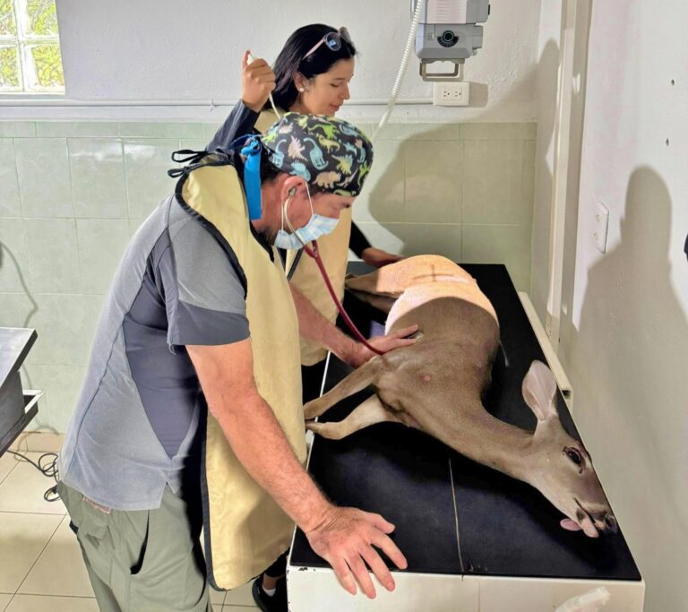 FPMC cierra el 2025 con importantes resultados en el rescate y protección de fauna silvestre