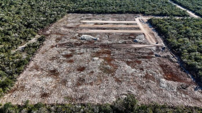 Profepa amplía denuncia contra productora de huevo por violar sellos de clausura en Yucatán