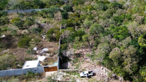Profepa clausura actividades irregularidades en predio de Dzibilchaltún, Yucatán
