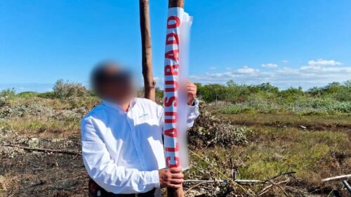 Profepa clausura desmonte y lotificación ilegal de manglar en Chelem, Yucatán