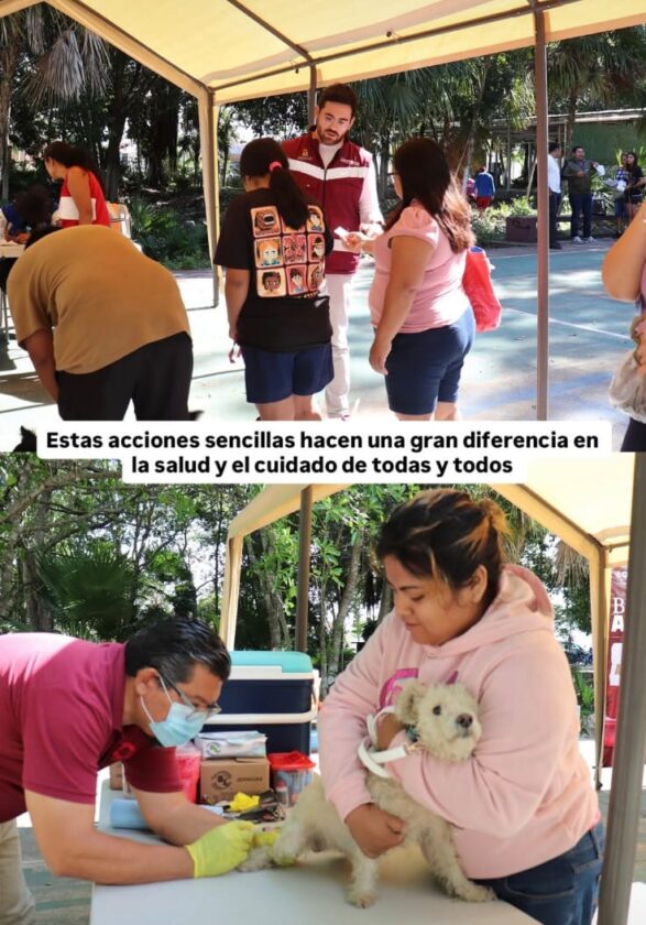 Óscar Rébora encabeza jornada de vacunación antirrábica en Cancún