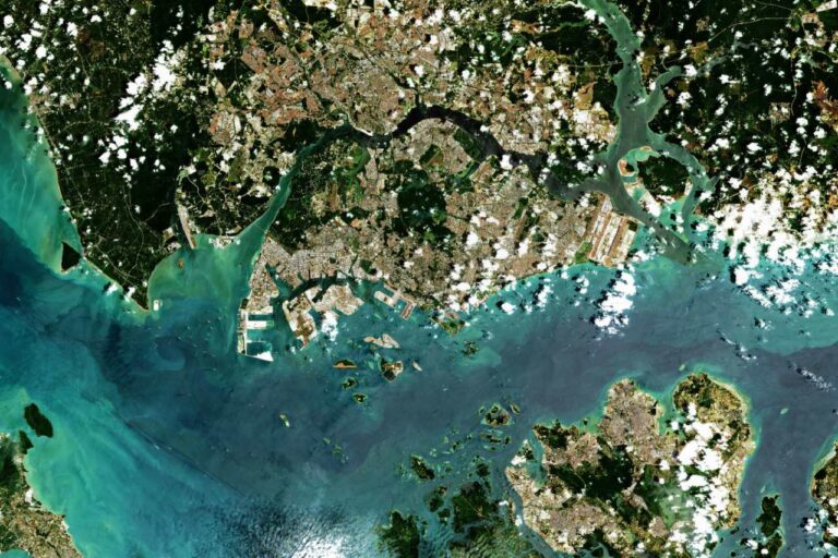 El medioambiente al alcance de todos: cómo seguir los cambios que se producen en tiempo real