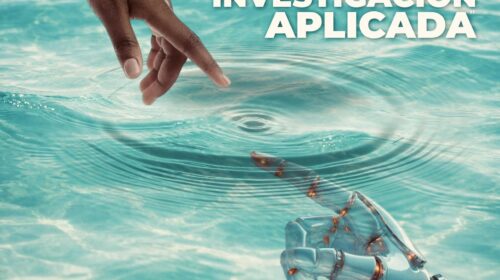 Quintana Roo impulsa la ciencia: lanza convocatoria de Investigación Aplicada 2026