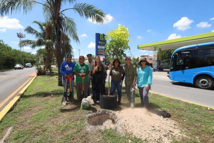 Actualizan el Plan de Infraestructura Verde de Mérida