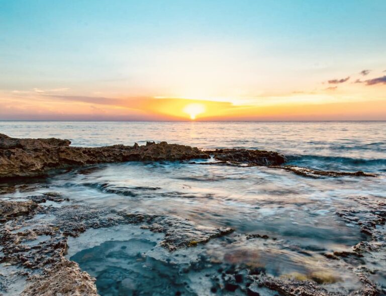 FPMC convoca a artistas al concurso de pintura “Maravillas de la Naturaleza 2026”