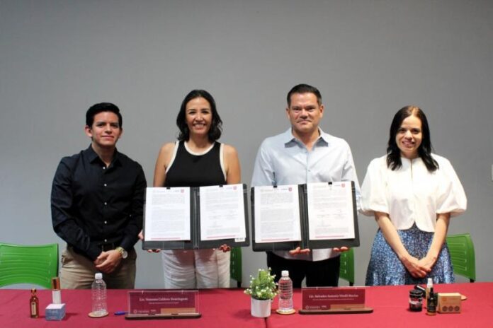 Formalizan alianza para fortalecer la capacitación digital de emprendedores en Yucatán