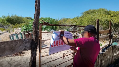 Profepa verifica predios clausurados en Chelem, Yucatán
