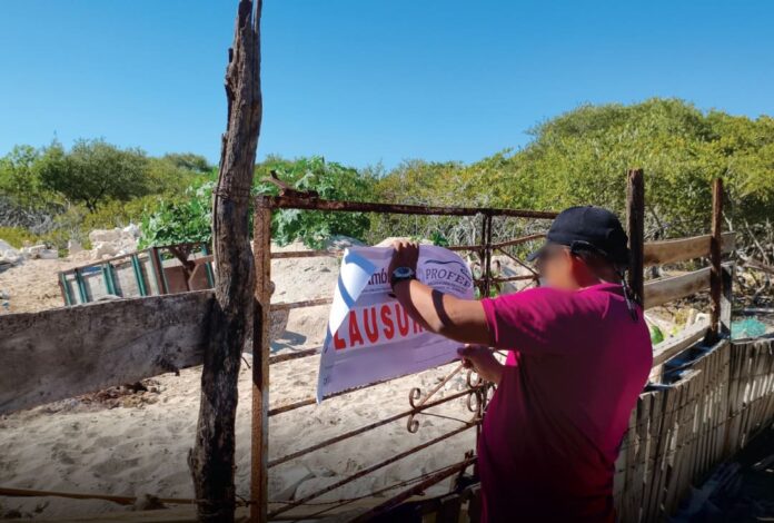 Profepa verifica predios clausurados en Chelem, Yucatán