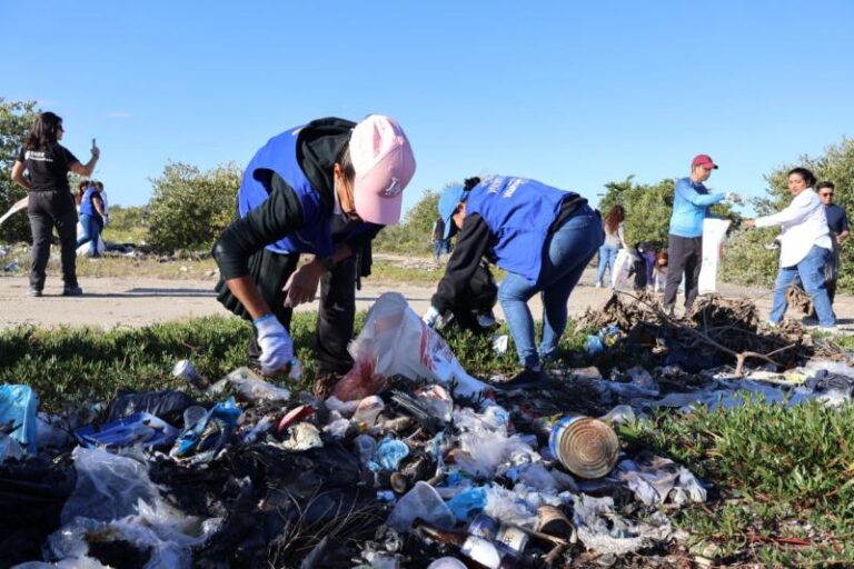 Realizan jornada de limpieza en el manglar de Chuburná