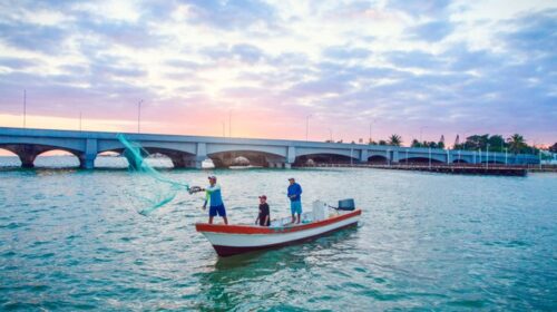 Yucatán da inicio a la veda del mero
