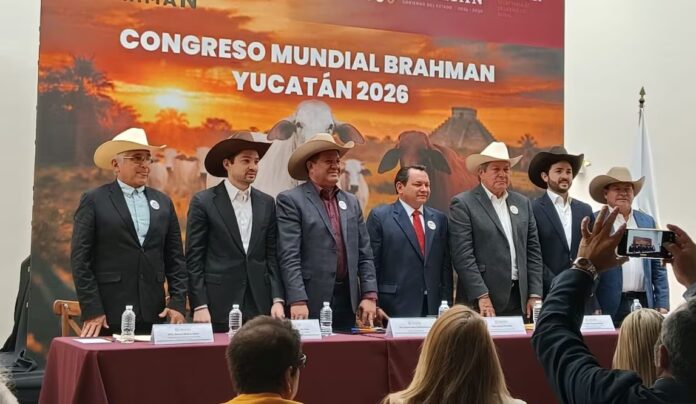Yucatán será sede del Congreso Mundial de Brahman 2026