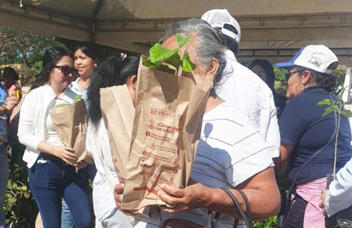 Entregan 5 mil plantas nativas en Hunucmá