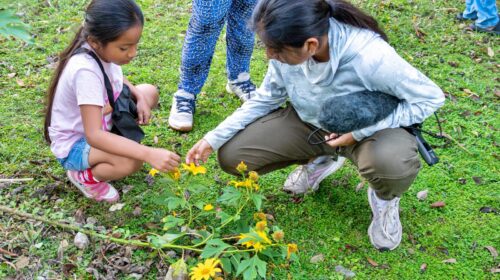 FPMC promueve la conciencia ambiental con la segunda edición de “NaturaIsla” en San Gervasio