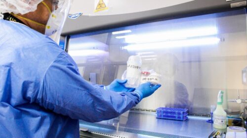 Laboratorio Estatal de Salud Pública de Quintana Roo alcanza el primer lugar nacional en estándares de calidad