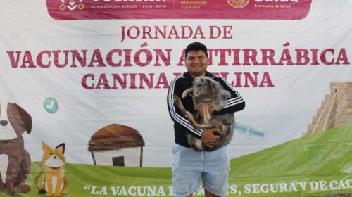Ponen en marcha jornada de vacunación antirrábica en Yucatán