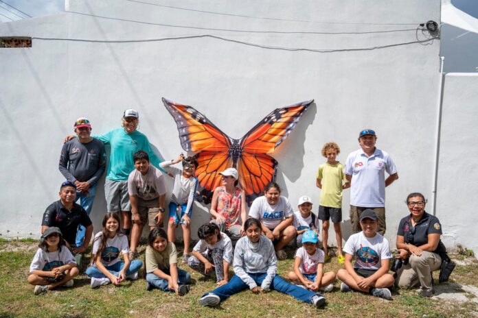 Promueven la protección de la mariposa monarca en Cozumel
