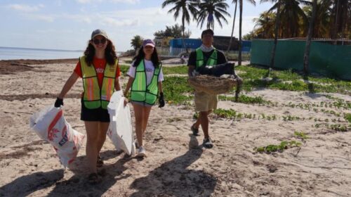 Realizan jornada de limpieza en costas de Yucatán