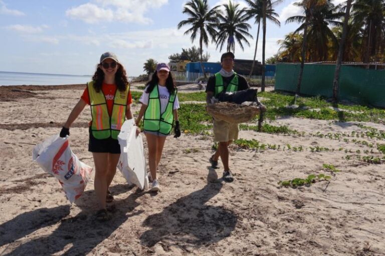 Realizan jornada de limpieza en costas de Yucatán