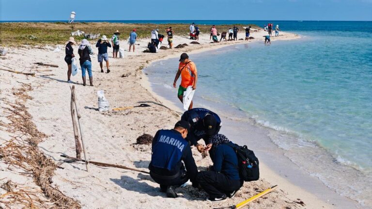 Greenpeace presenta dos denuncia por derrame en el Golfo de México
