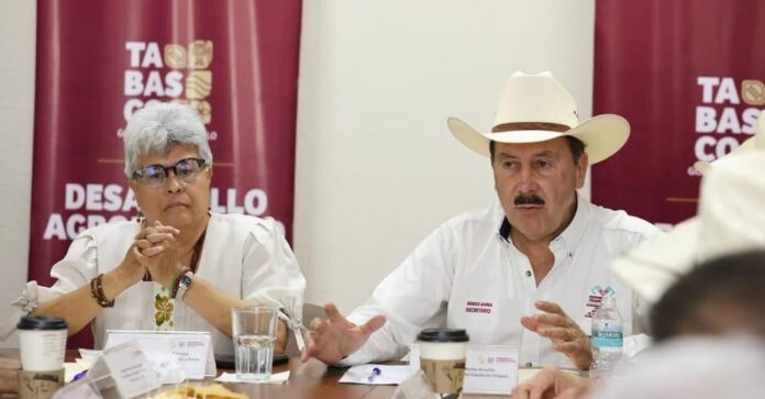 Tabasco y Chiapas sellan alianza a favor de la ganadería