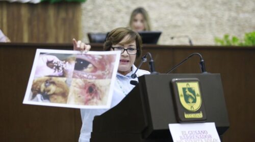 Montaje panista en el Congreso de Yucatán: usan imagen falsa para sembrar alarma