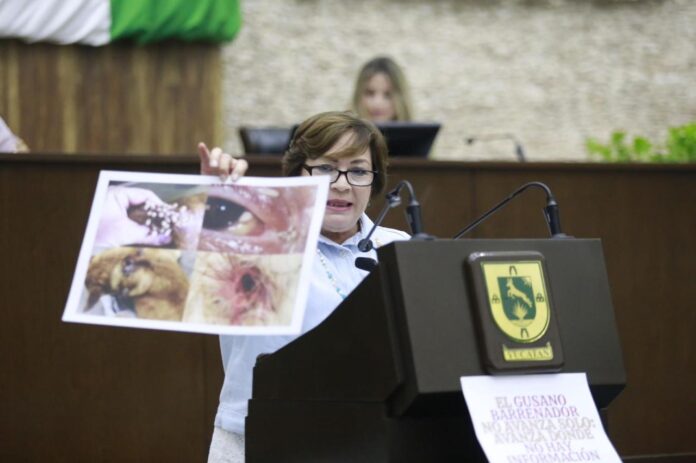 Montaje panista en el Congreso de Yucatán: usan imagen falsa para sembrar alarma