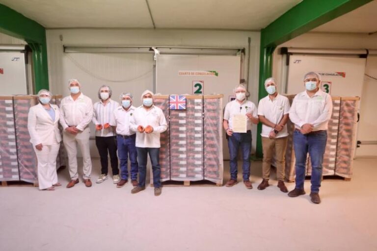 Yucatán concreta primer envío histórico de mamey al Reino Unido