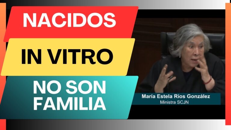 Ministra María Estela Ríos González aclaró que dijo que los nacidos por fecundación in vitro no pertenecen a una familia de “forma ilustrativa”