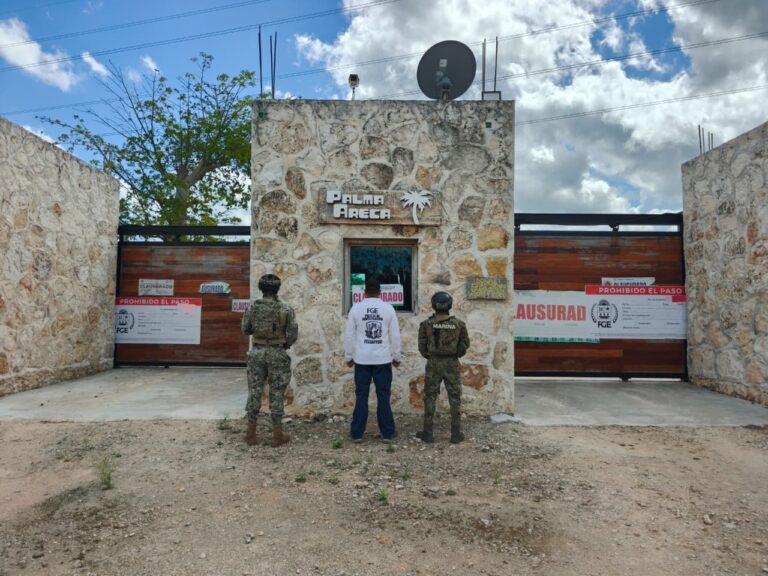 Aseguran predio por delitos contra el ambiente en Quintana Roo