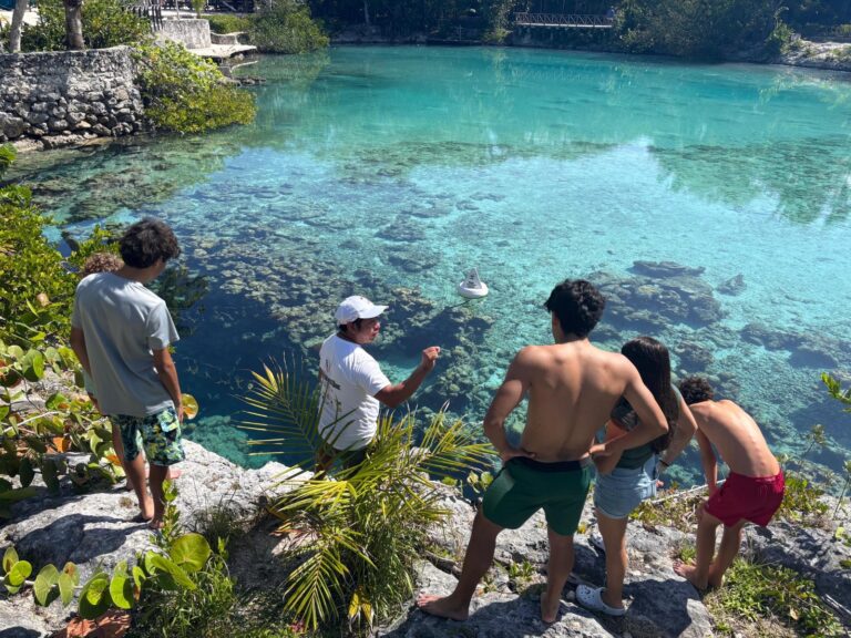 Avanza la restauración coralina en la laguna de Chankanaab