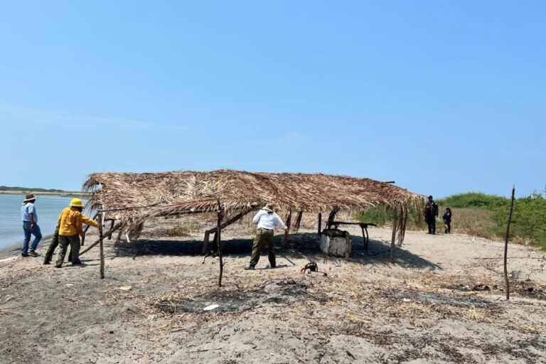 Profepa y Conanp retiran 15 palapas de La Encrucijada, Chiapas
