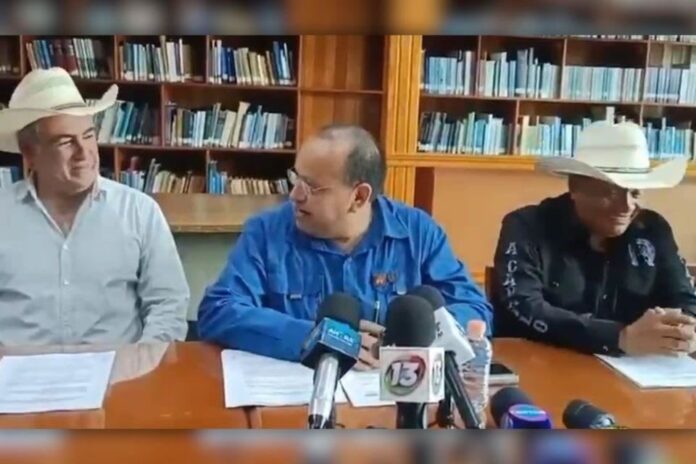 Diputado del PT compara a mujeres con caballos