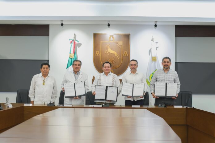 Hospital Corea-México atenderá a pacientes excedentes del IMSS en Yucatán