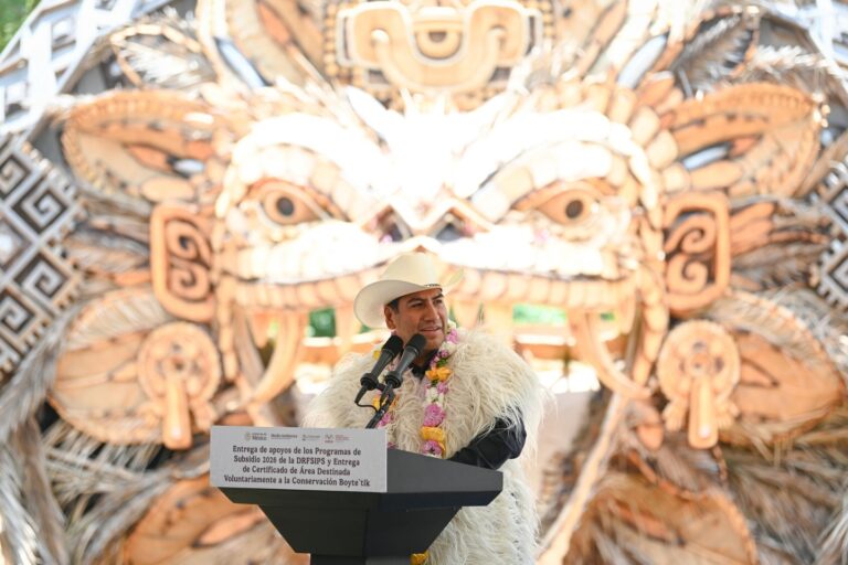 Impulsan la conservación ambiental en Chiapas