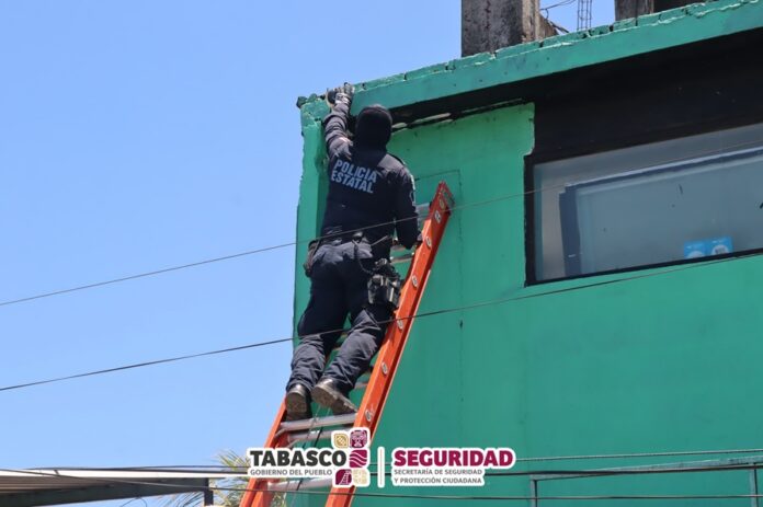 Operativo “Halcón Ciego