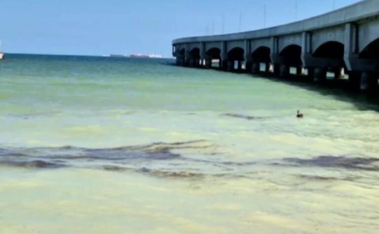 Pemex repara fuga en ducto marino de Progreso, Yucatán